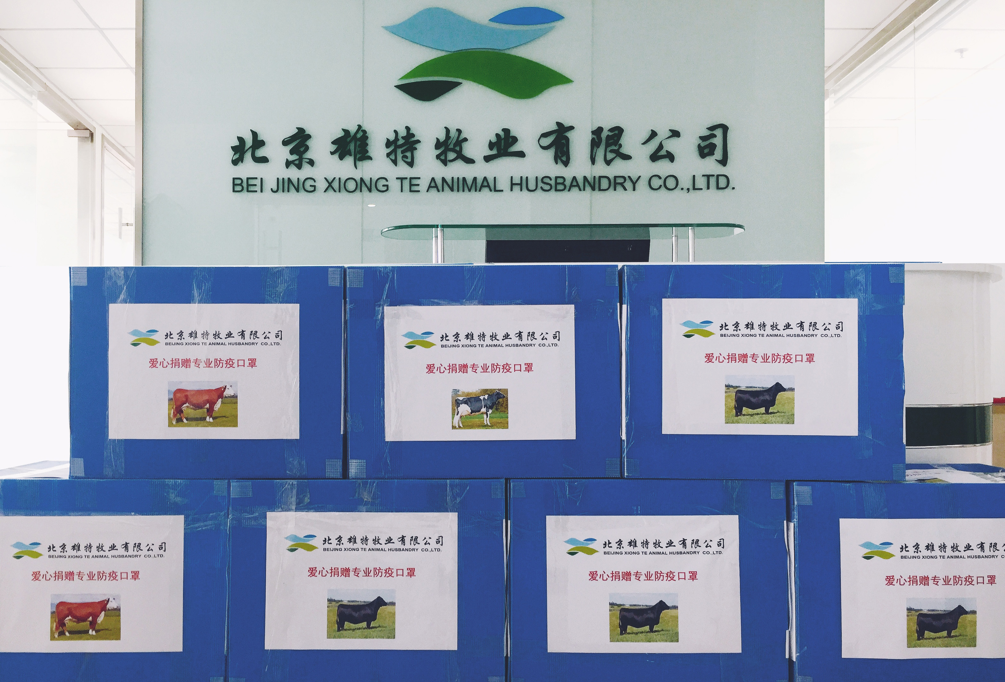 香港免费资料网站