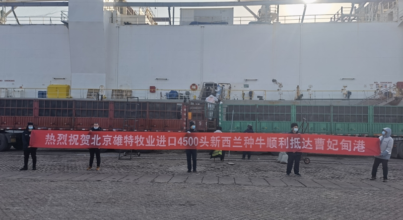香港免费资料网站