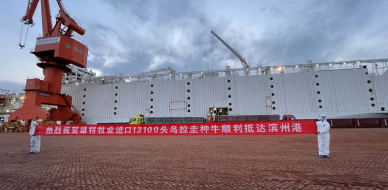 香港免费资料网站